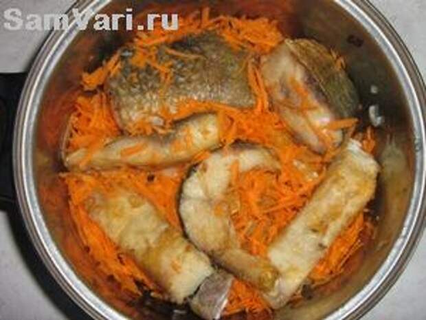 Рыба тушеная в морковке