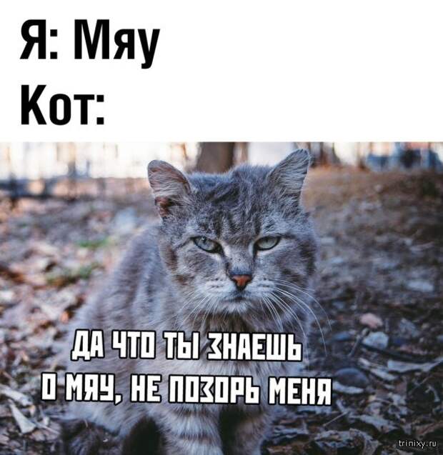 Социальные сети - кладезь юмора (20 фото)