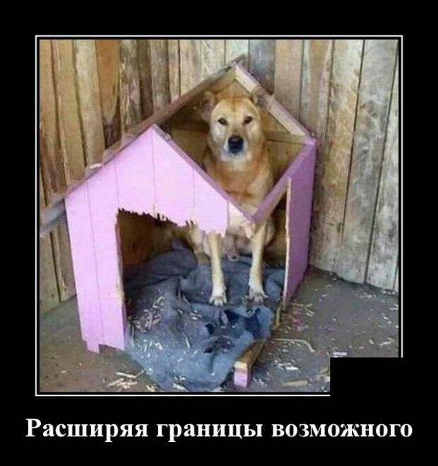 Демотиваторы 09.12.2020