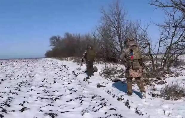 Армия России освободила Новый Донбасс, выйдя к Доброполью менее чем на 4 км