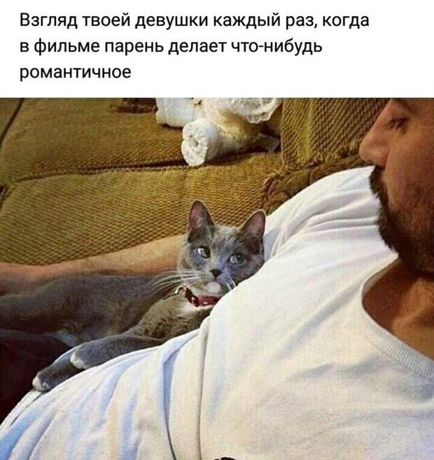 Подборка интересных и веселых картинок картинки, подборка картинок, прикол, юмор