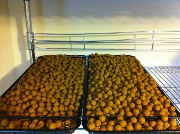 «Волшебное тесто», или Рыбацкая кулинария