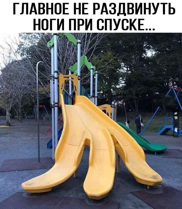 Порция настроения добрый день, картинки, мемы, смех, смешные