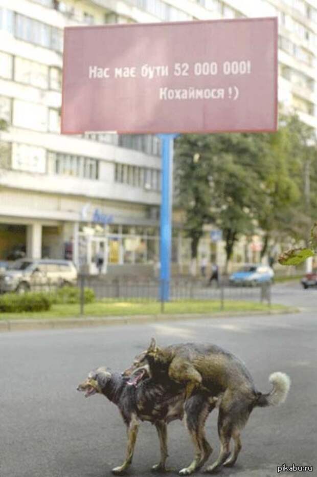 Нас мае бути кохаймося. Концепція нуш. Нас 52 мільйони. Log210+log212-log215. Має бути.