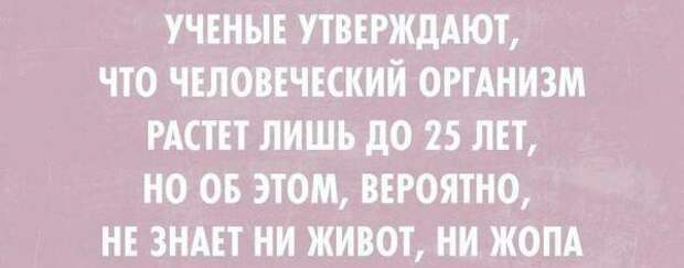 В шутку и всерьез о лишнем весе и диете