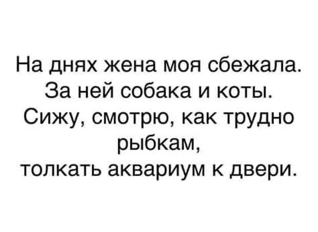 Эта подборка веселых и забавных историй подарит позитивный настрой на весь день!