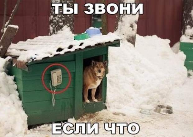 Прикольные фотомемы (27 фото)