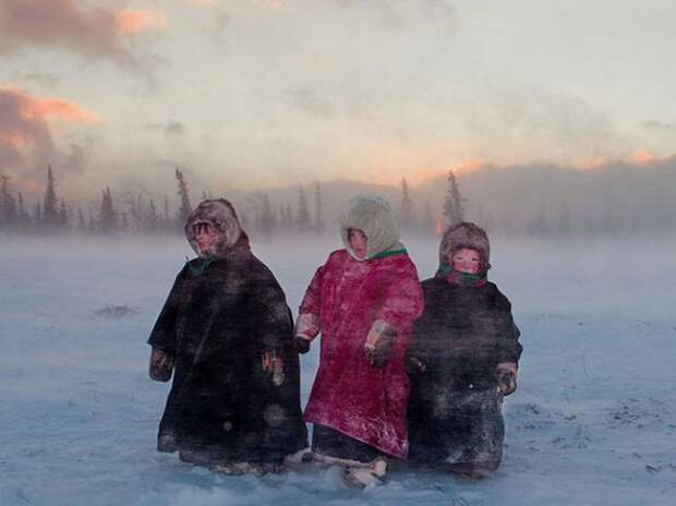 Коллекция удивительных снимков от National Geographic за 2012 год Коллекция удивительных снимков от National Geographic за 2012 год