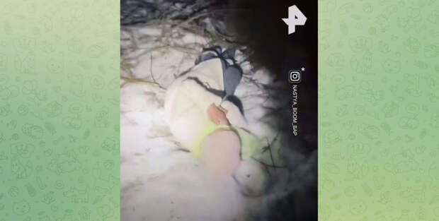 В Подмосковье спасли 84-летнюю пенсионерку, которая 8 часов пролежала в снегу