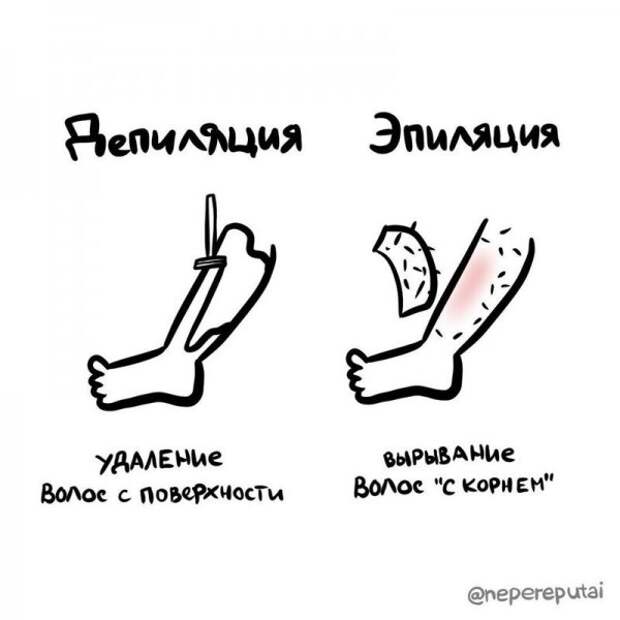 20 иллюстраций, наглядно показывающих разницу между объектами