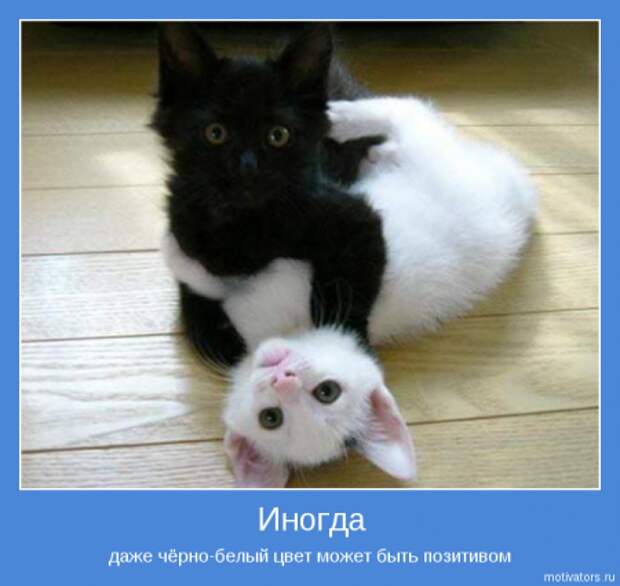 Мотиваторы основные со смыслом.