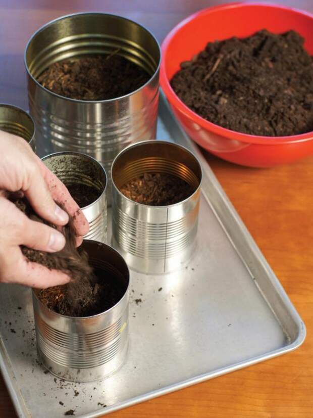 After filling bottom of cans with a shallow layer of rocks, top with a layer of potting soil, making sure to only fill each can two-thirds full.