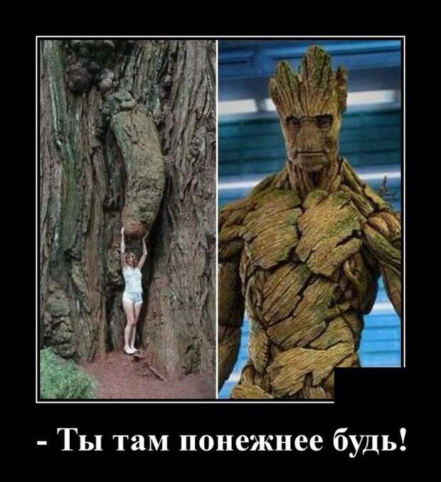 Демотиваторы 09.12.2020