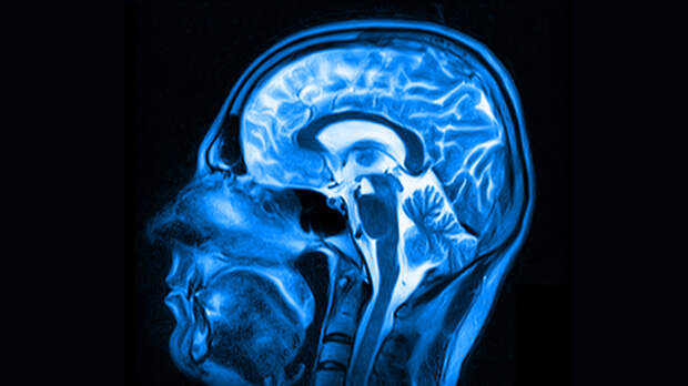 Можно ли «выключить» мозг и ни о чём не думать: разбор