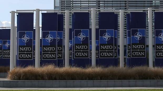 Журналист Александр Рар оценил результаты саммита НАТО