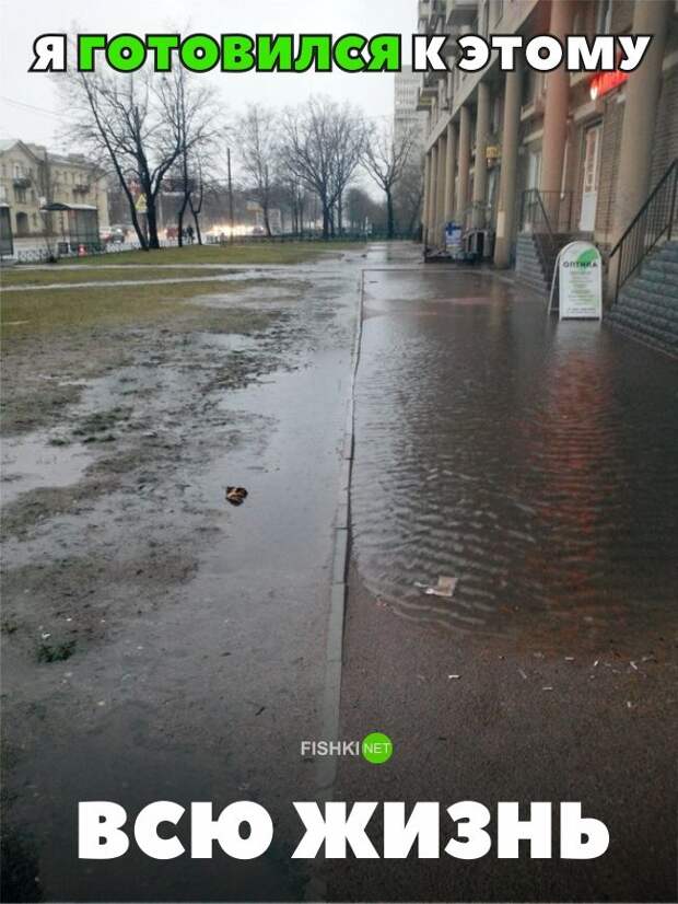 30 позитивных картинок, которые скрасят ваш  день картинки, прикол, юмор