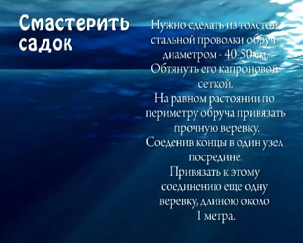 Речные раки-2 Речные раки-2
