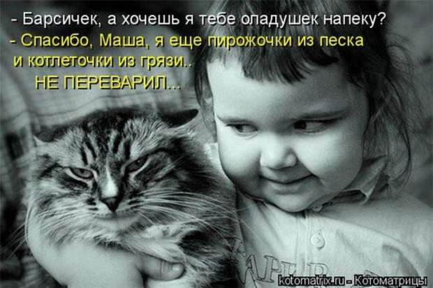 Котоматрицы(картинки с надписями)