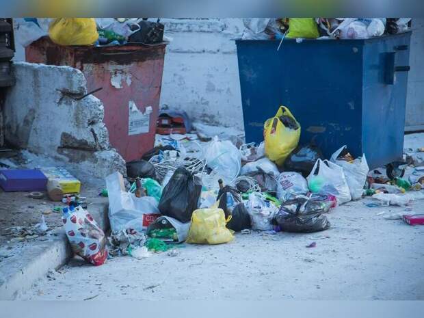 «Олерон» пообещал очистить все мусорные площадки ко Дню города