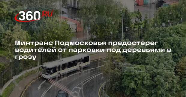 Минтранс Подмосковья предостерег водителей от парковки под деревьями в грозу