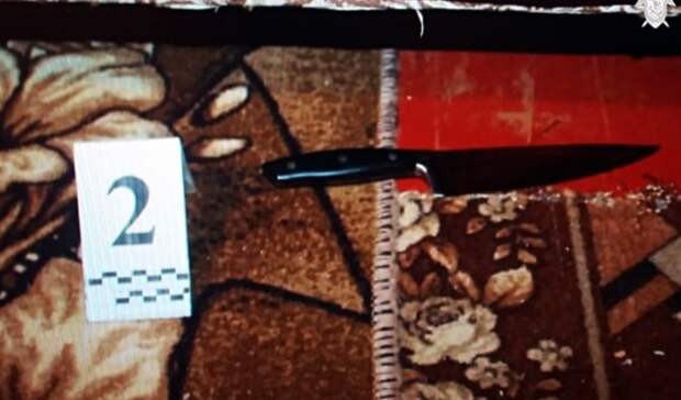 В Кулебаках сын зарезал собственную мать