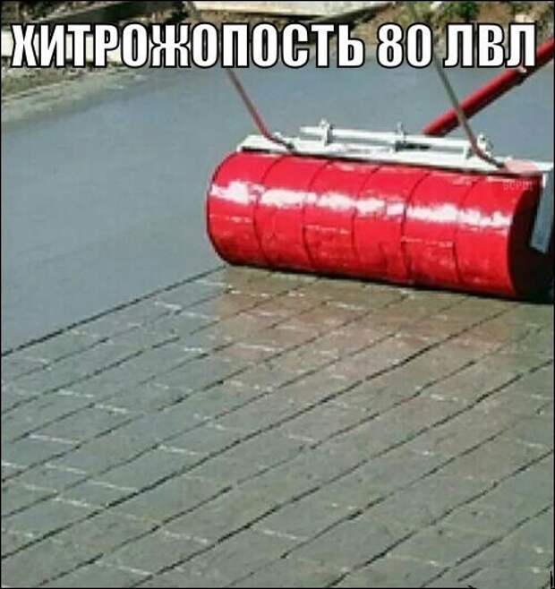 Смешные картинки с надписями прикол, юмор
