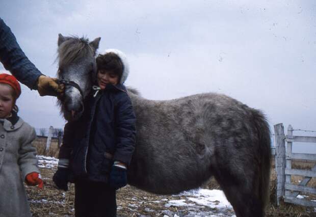 15 колоритных фотографий о жизни цыган в 1960-х годах