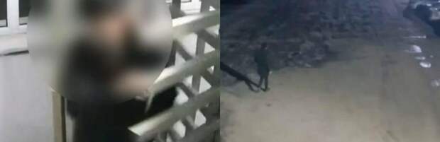 Мужчина угнал авто с территории сахарного завода в Жетысу