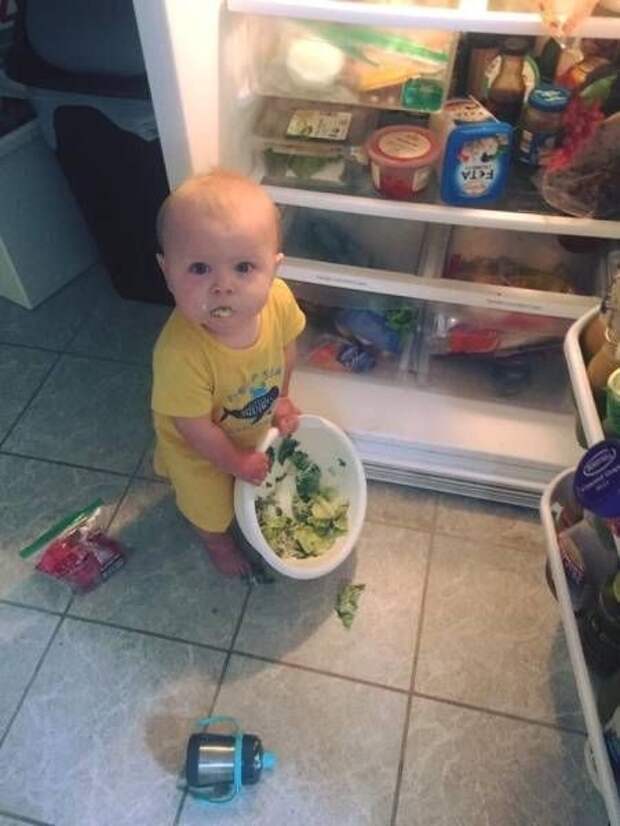 Прикольные картинки