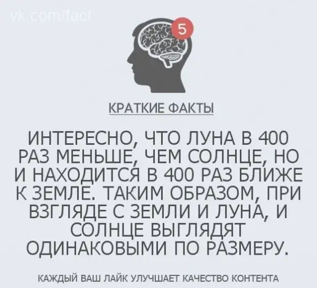 Факт это кратко. Факт о себе кратко и красиво. ФРС краткие факты.