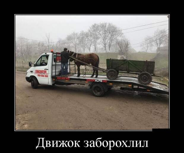 Демотиваторы (30 фото)