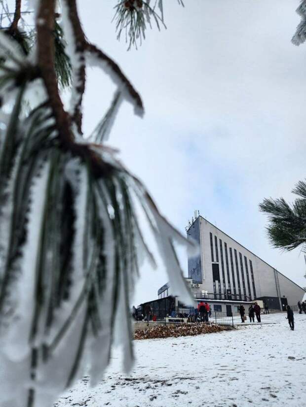 Чарующая новогодняя сказка на Ай-Петри