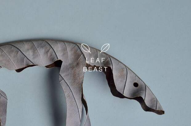Причудливые зверушки из листьев (Leaf Beast)