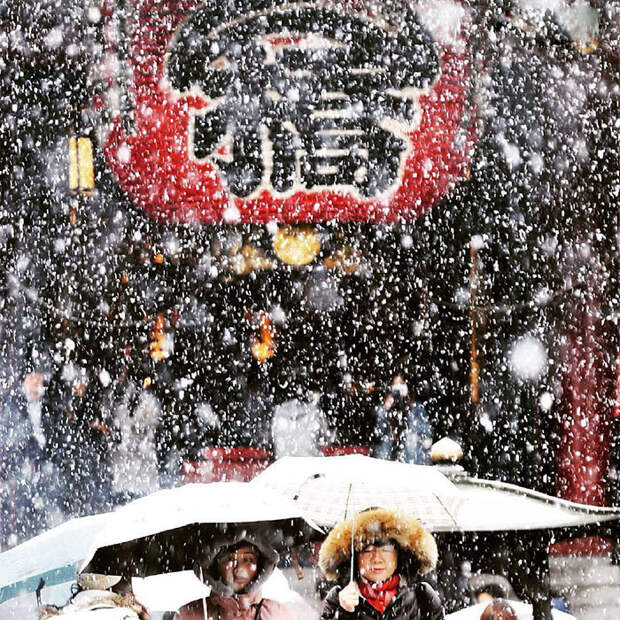 Tokyo First Snow In November 2016