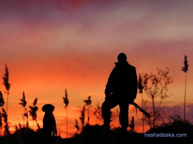 Фотография ... у собаки і його мисливця була стара традиція - зустрічати схід сонця разом ... / peCHIZHak / photographers.com.ua