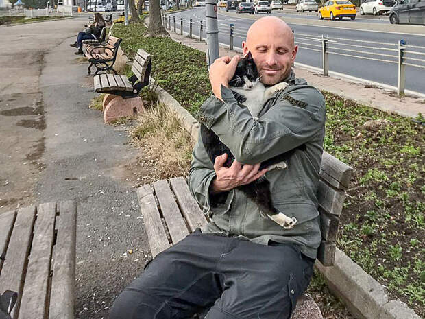 Я сфоткал двух обнимающихся бездомных кошек - клянусь, это не поставнока