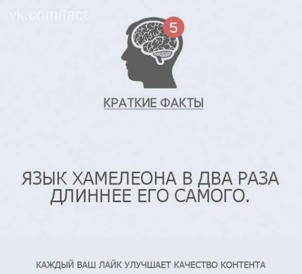 Краткие факты