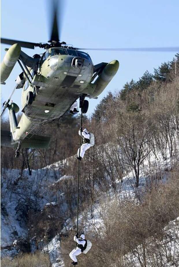 армия южная корея
