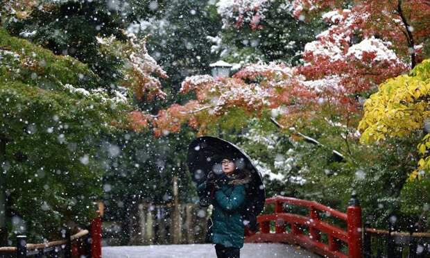 Tokyo First Snow In November 2016