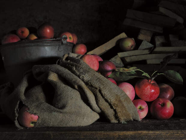 Тещины яблоки или месть должна подаваться с огорода история, теща