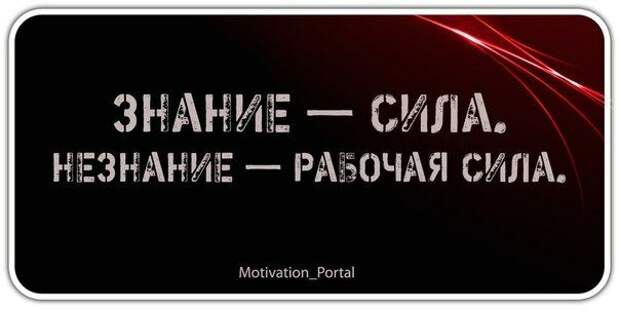 Истории и шутки для настроения