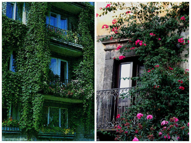 Балкон, веранда, патио в цветах: черный, серый, темно-зеленый, сине-зеленый. Балкон, веранда, патио в стиле экологический стиль.