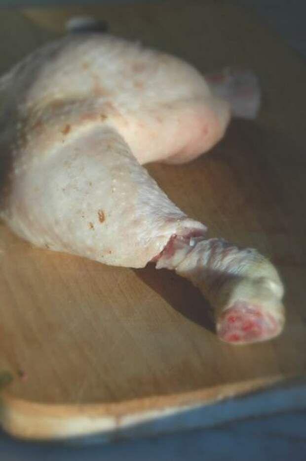 Porro 012.JPG