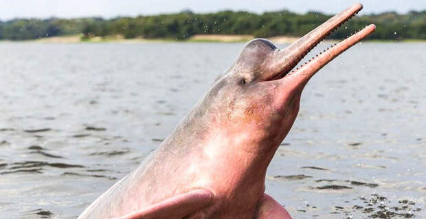 c6c885b6f5d71d036c769bb9b77ebf26