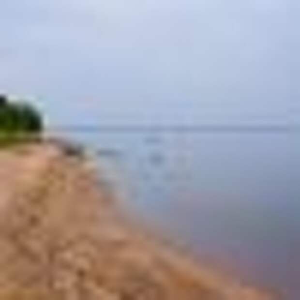 Общественность высказалась против осушения Рыбинского водохранилища