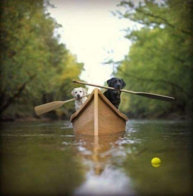 Давайте улыбаться вместе! :)