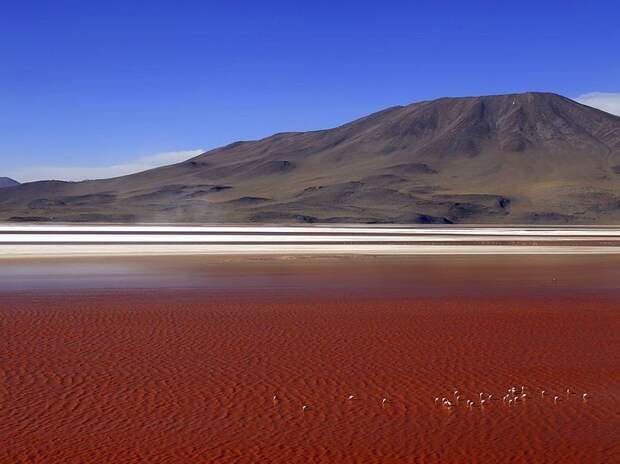 LagunaColorada02 Кровавая лагуна в Боливии