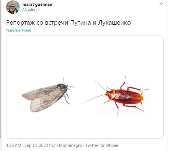 3 700 рублей каждая российская семья подарит Беларуси. Реакция соцсетей на обещание Путина