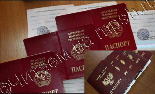 В Белоруссии исключили возможность въехать в страну по паспорту ДНР или ЛНР.