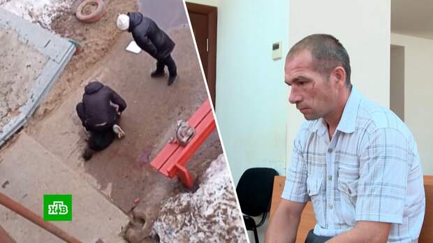 В Архангельской области судят живодера, напавшего с ножом на собаку